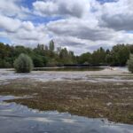 Parc d&rsquo;attraction à Cergy :UN PROJET D’UN AUTRE TEMPS!
